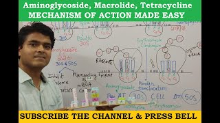 Aminoglycoside Macrolide Tetracycline Mechanism of action  GPAT  NEET PG  STAFF NURSE EXAM [upl. by Golanka807]