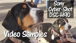 Sony CyberShot DSCH90 Video Samples [upl. by Yeltnerb]