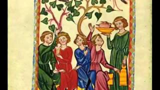 Istu vinum bonum vinum vinum generosu  Micrologus  Codex Manesse [upl. by Eilasor]