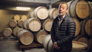 La légende des Grands Crus blancs de Montrachet [upl. by Stander]