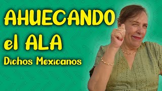 QUÉ significan los DICHOS MEXICANOS [upl. by Cianca384]