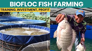 Biofloc Fish Farming Setup Cost and Profit  Machli Palan Kaise Karen  Fish Farming in India [upl. by Byrne]