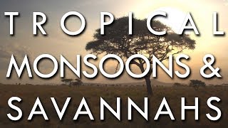 The Tropical Monsoon and Tropical Savannah Climates  Secrets of World Climate 2 [upl. by Anitnuahs]