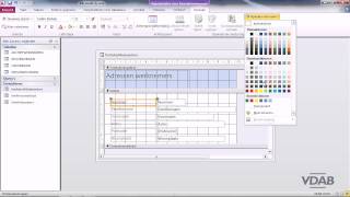 Access 2010  50 Opmaak 2 [upl. by Pittel]