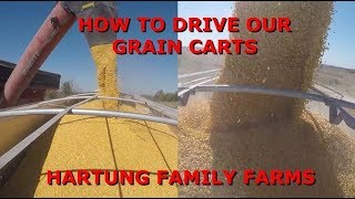 How to Drive our Grain Carts [upl. by Martainn]