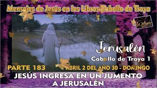 JESÚS INGRESA EN UN JUMENTO A JERUSALÉN Parte 183  CABALLO DE TROYA 1  WILSON BELLO [upl. by Yrokcaz489]