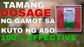 Ivermectin tamang dosage gamot sa Garapata at kuto [upl. by Faxen575]