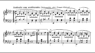 SchubertLiszt  Soirées de Vienne Complete S427 [upl. by Eical46]