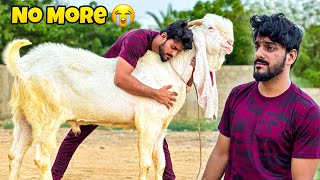 Gabbar is NO MORE with Us😭  Emotional Vlog  Pets  MISHKAT KHAN [upl. by Armilda834]