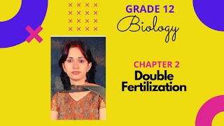 Double Fertilization I Outbreeding Devices class 12 I Self compatibility reaction I Chapter 2 [upl. by Assital]