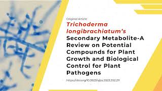 Trichoderma longibrachiatum biopotential compounds for plant health [upl. by Kalbli]