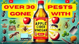 Over 30 Pests Gone with One Ingredient Apple Cider Vinegar Hacks [upl. by Apps]