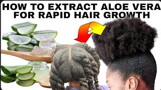 EASY WAY TO EXTRACT ALOE VERA GEL FOR HAIR GROWTH [upl. by Ardnuassak140]