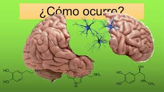 ¿Qué es la esquizofrenia ENTIENDELO DE UNA VEZ con indice [upl. by Acirret]