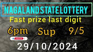 First Prize Last Digit 291024 Nagaland State Lottery Target Number Lottery Sambad Target Number🎯😊💗 [upl. by Ahsaetal417]