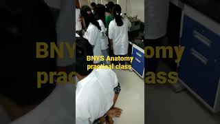 BNYS Anatomy practical class naturopathy yoga YNGMCH yoga shri Westbengal BNYS College Ayush [upl. by Komarek]