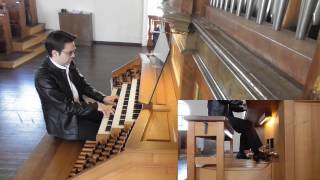 JS Bach Fantasie und Fuge cMoll BWV 537 [upl. by Nohsyar844]