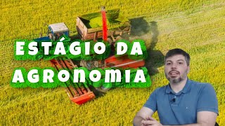 Estágio do Curso de Agronomia [upl. by Kosel]