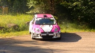 rallye de l’écureuil 2015 [upl. by Neesay351]