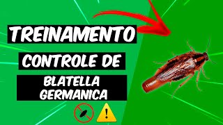 Controle de Blatella Germanica  Treinamento [upl. by Dina]