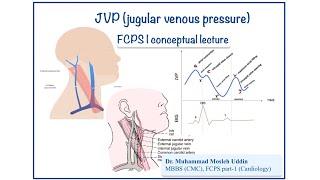 JVP jugular venous pressure  part 2 [upl. by Moclam]