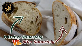 Das passiert wenn du deinen Sauerteig 2 Monate nicht fütterst [upl. by Amliw]