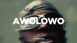 Omah lay Ft Burna Boy Type Beat quotAWOLOWOquot Afrobeat Instrumental 2024 x Emotional Afrobeat TypeBeat [upl. by Anisamot12]