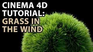 Cinema 4D Tutorial Grass in the Wind Tutorial [upl. by Arrak]