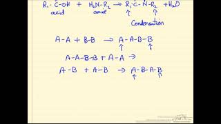 StepGrowth Polymerization [upl. by Hylan]