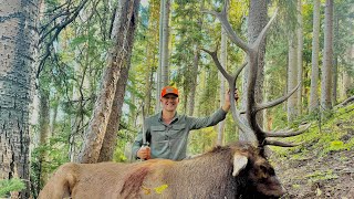 “Muzzleloader Elk Success on Opening Morning in Southwestern Colorado 2024” [upl. by Thun675]