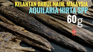 60g Aquilaria Hirta Agarwood from Kelantan Malaysia [upl. by Adnot583]