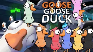 Its a HONKing Helium PARTY Goose Goose Duck [upl. by Auhso397]