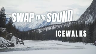 Swap Your Sound — Banff Icewalks [upl. by Mordy]