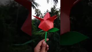 Diy beautiful paper flower paperflower short viral craft Createoncreativity [upl. by Farika178]