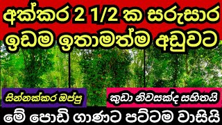 අක්කර 2 12 ක සරුසාර ඉඩම අඩු මුදලකට  Land for sale  Aduwata idam  Gammiris idam Agriculture land [upl. by Priebe]