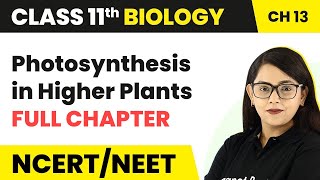 Photosynthesis in higher plants class 11Neet PYQ series biology neet ncertneetpyq shortsaiims [upl. by Cristionna]