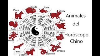 CONOCE TU ANIMAL en el HORÓSCOPO CHINO ㊗ PARTE 1 [upl. by Blus]