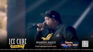 Ice Cube  Soaring Eagle Casino amp Resort [upl. by Matthaeus]