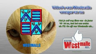 Videos van Westmalle [upl. by Irra]