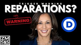 TRIGGER WARNING Slave Reparations amp Kamala Harris  A Racial Rorschach Test Explained [upl. by Harewood]