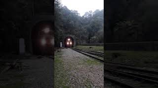 ES43BBi KLABIN no Túnel de Roça Nova  Piraquara PR [upl. by Gristede]