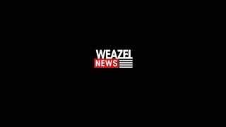 Осенняя лотерея Weazel News 2024 [upl. by Onaicnop]