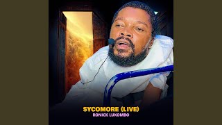 Nzete Ya Sycomore Pt 2 Live [upl. by Papke]