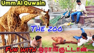 The zoo  Settai with animals  fun entertainment  tamil pasanga vlog  dubai  orangutan  birds [upl. by Fanchan]