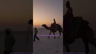 Best time to visit Rann of Kutch  Rann of Kutch  Best places to visit in Gujarat [upl. by Adekahs]