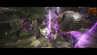 BDO 검은사막 전승 레인저 Succession Ranger 엘비아 귄트 언덕 Elvia Quint Hill 일줌 level1 LS 134331mins [upl. by Nageem]