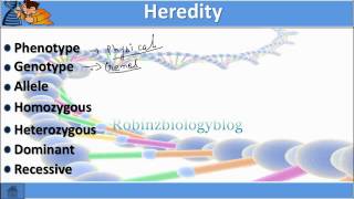 Heredity and Evolution Class 10  science biology [upl. by Lela693]