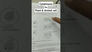 Cytokinesis in Plant and animal cell biology neet celldivision skyclasses [upl. by Iey]