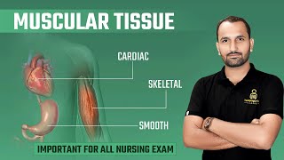 Muscular Tissue  Types  Structure  Anatomy amp Physiology  Important For All Nursing Exam [upl. by Amuh]