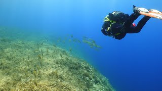 Scuba Diving in the Maltese Island of Gozo 2024 [upl. by Ire356]